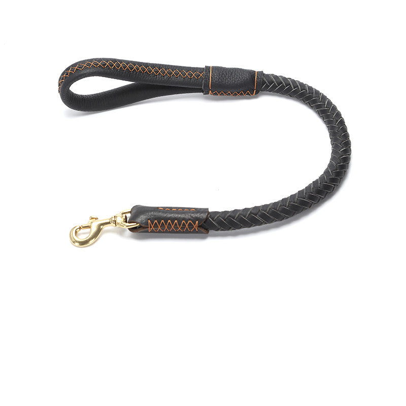 Leather Dog Leash for Medium and Large Breeds