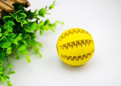 Rubber Bite-Resistant Watermelon Ball for Pets